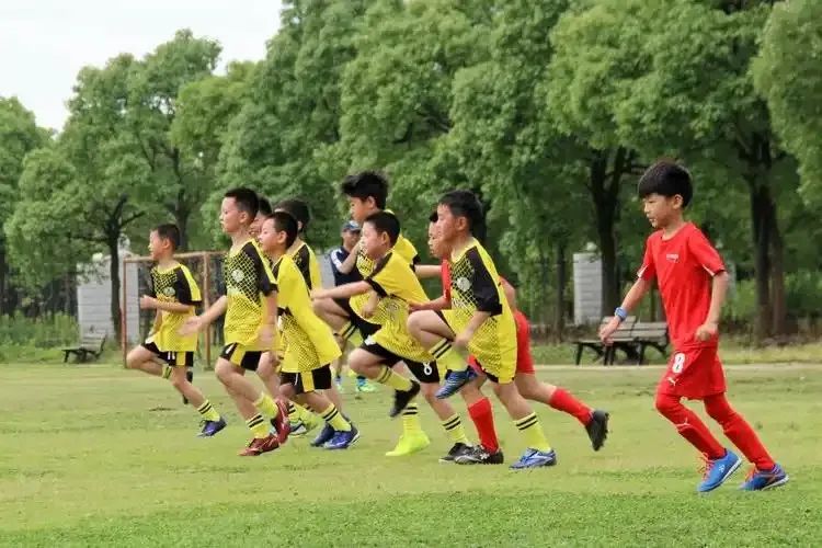 踢足球规则基本注意事项_踢足球规则基本注意要点_踢足球注意的基本规则